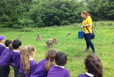 Year 1 and 2’s trip to Monkey Forest