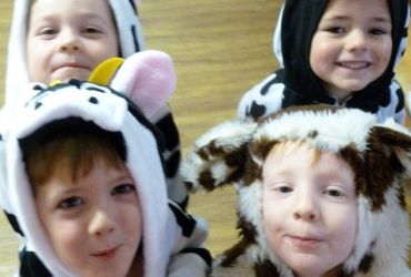 Lsnativity4
