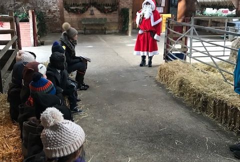 Year 1 Visit Tatton Park