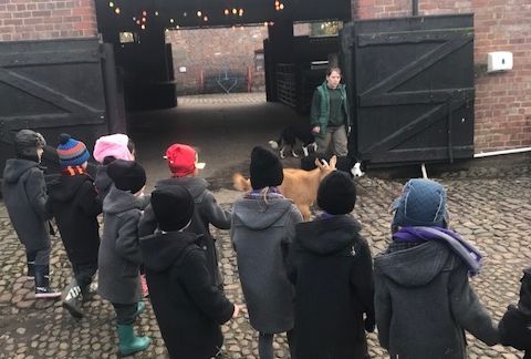 Year 1 Visit Tatton Park
