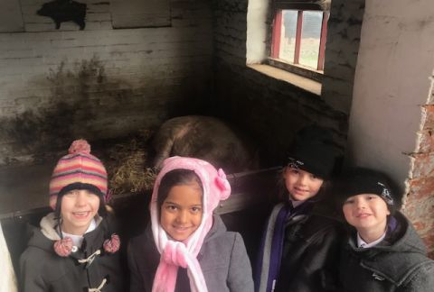 Year 1 Visit Tatton Park