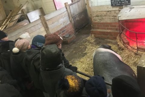 Year 1 Visit Tatton Park