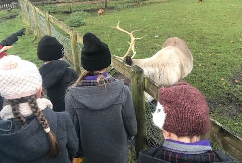 Year 1 Visit Tatton Park