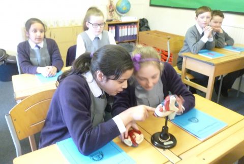 Y6 Gave a Hearty Welcome to Mrs Wood