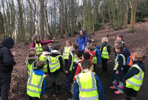 Year 2 Residential
