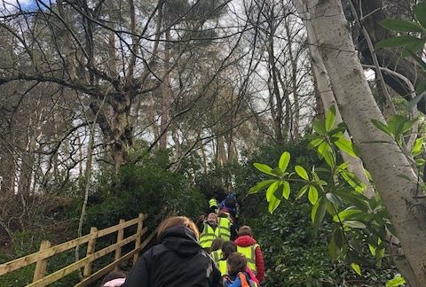 Year 2 Residential