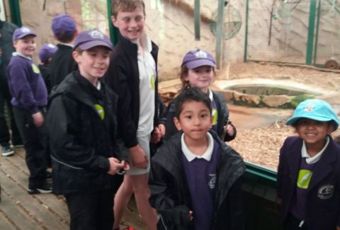 Little Monkeys visit the Zoo