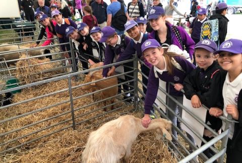 The Cheshire Show