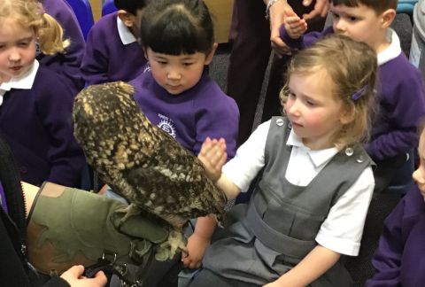 Pre-Prep Zoo 2U
