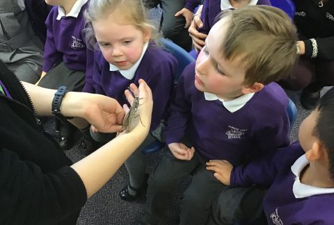 Pre-Prep Zoo 2U