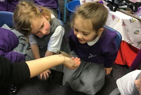 Pre-Prep Zoo 2U