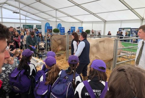 Royal Cheshire Show