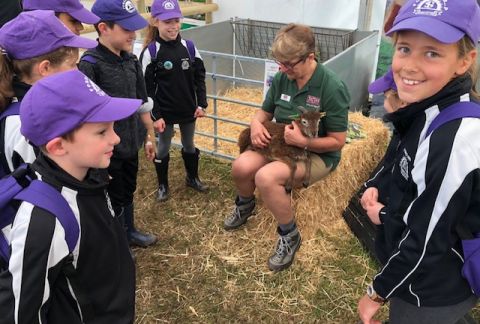 Royal Cheshire Show