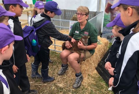 Royal Cheshire Show