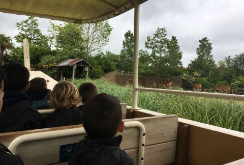 Buddy Bonding- Chester Zoo