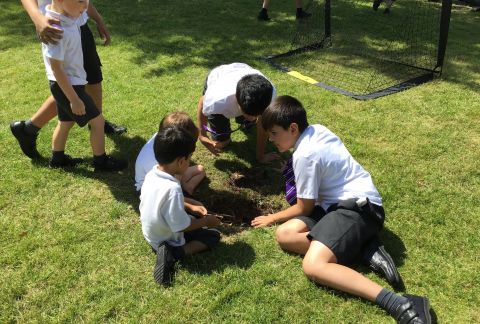 Busy Few Weeks in Pre-Prep
