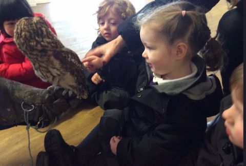 Feathery Friends Visit Pre-Prep
