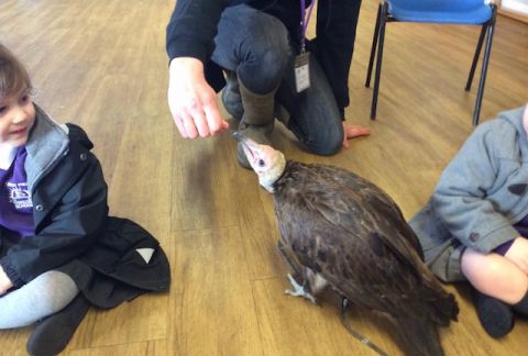 Feathery Friends Visit Pre-Prep