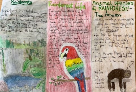Our Year 6’s: How They’ve Grown