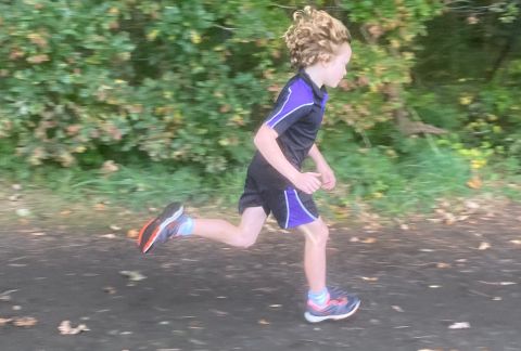 Run, Forest! Run! Cross Country Results