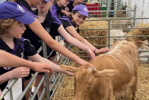 Enhancing Out-of-School Experiences