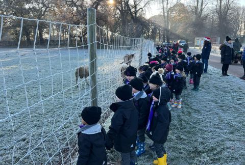 Christmassy outings - A real treat for the whole school!
