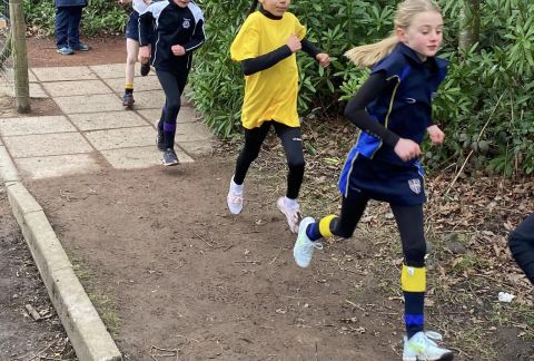 Run Forest Run