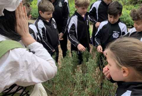 Tudor Times Brought to Life