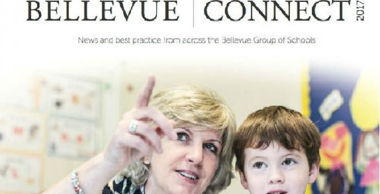 Insight into the Bellvue Group