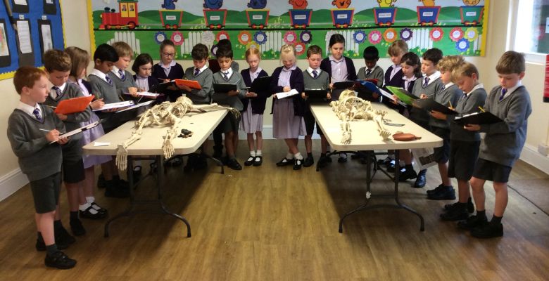 Independent Learning: Mini-Archeologists Dig for Facts